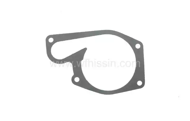 Water pump gasket - 495B